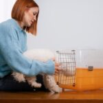 Essential Steps for Moving Your Pet to Saudi Arabia A Comprehensive Guide